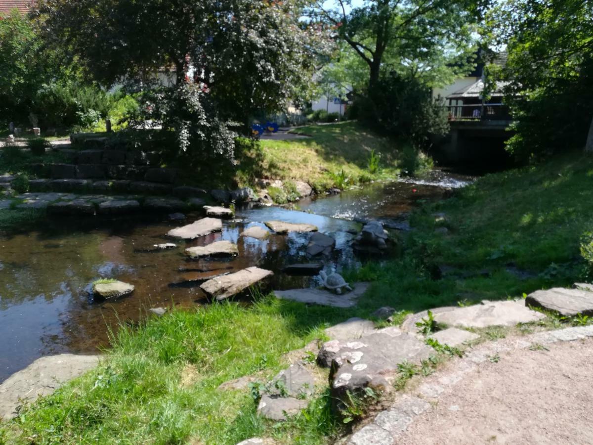 Am Sommerberg Unterkirnach 외부 사진