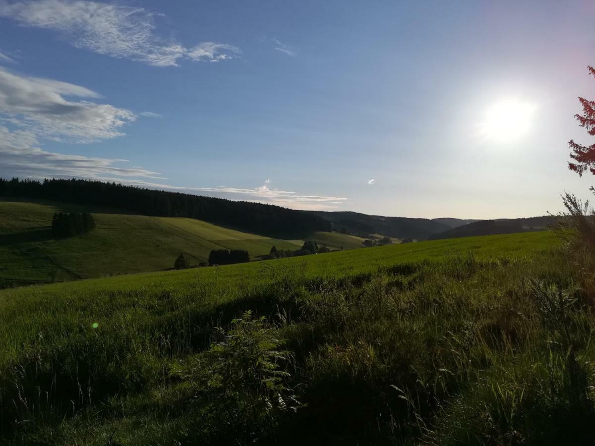 Am Sommerberg Unterkirnach 외부 사진